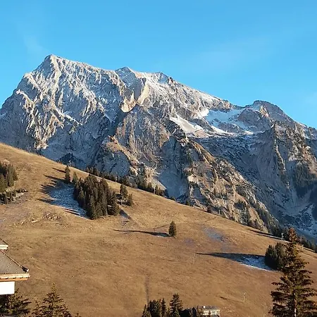 Au Coeur Des Aravis Apartment
