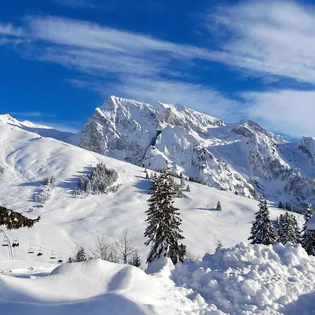 Apartment Au Coeur Des Aravis